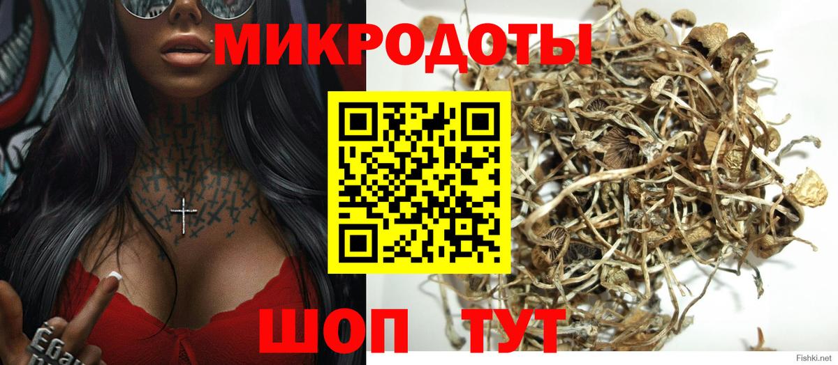 Кубинка  Псилоцибиновые грибы Psilocybine cubensis  наркотики  Вход с VPN  Псилоцибиновые грибы мухоморы 