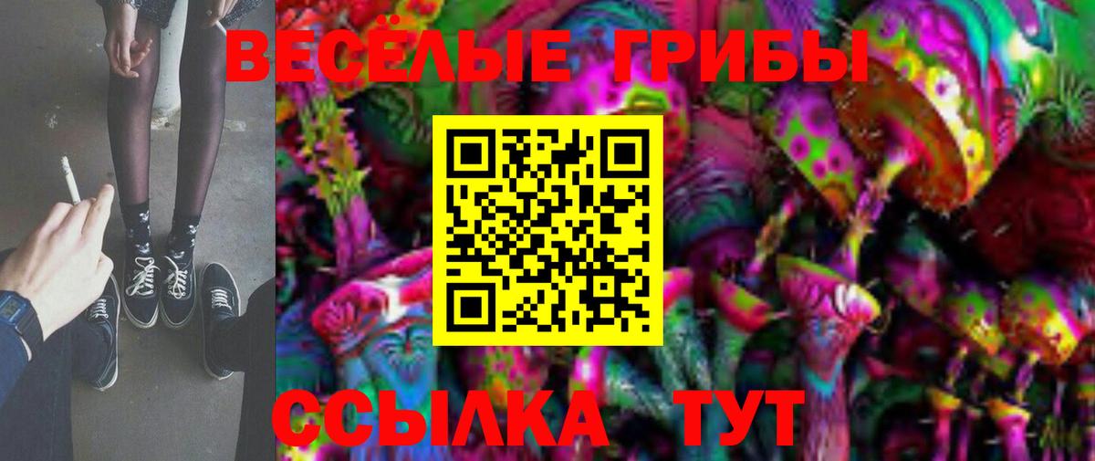 Галлюциногенные грибы Psilocybe Кубинка